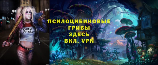 метадон Алексин